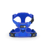 Endurance Harness - Blue