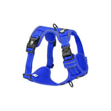 Endurance Harness - Blue