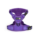 Endurance Harness - Purple