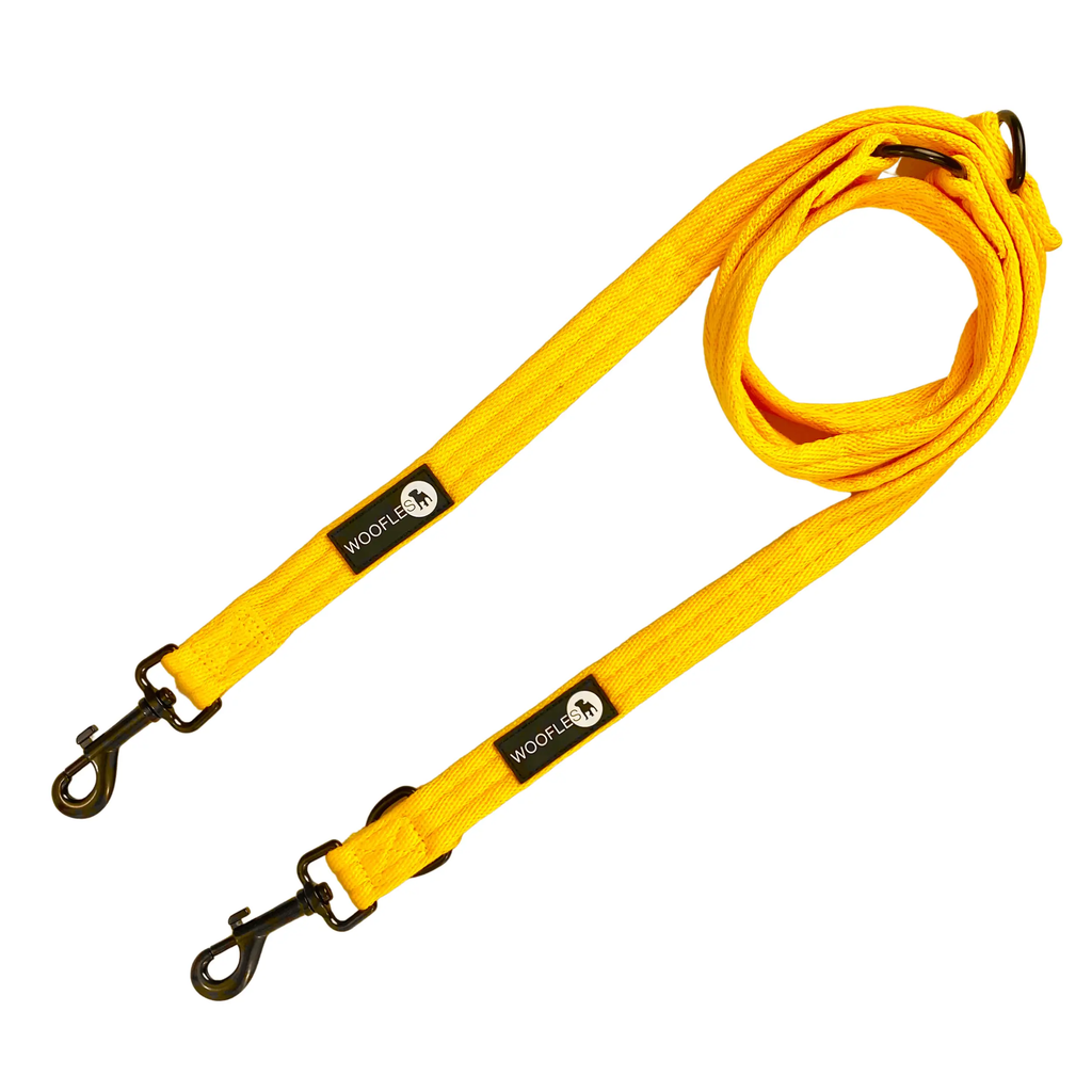 Multi dog outlet lead